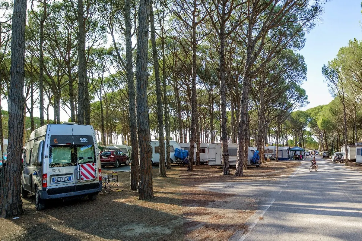 Camping Alannia Neptuno, foto 2