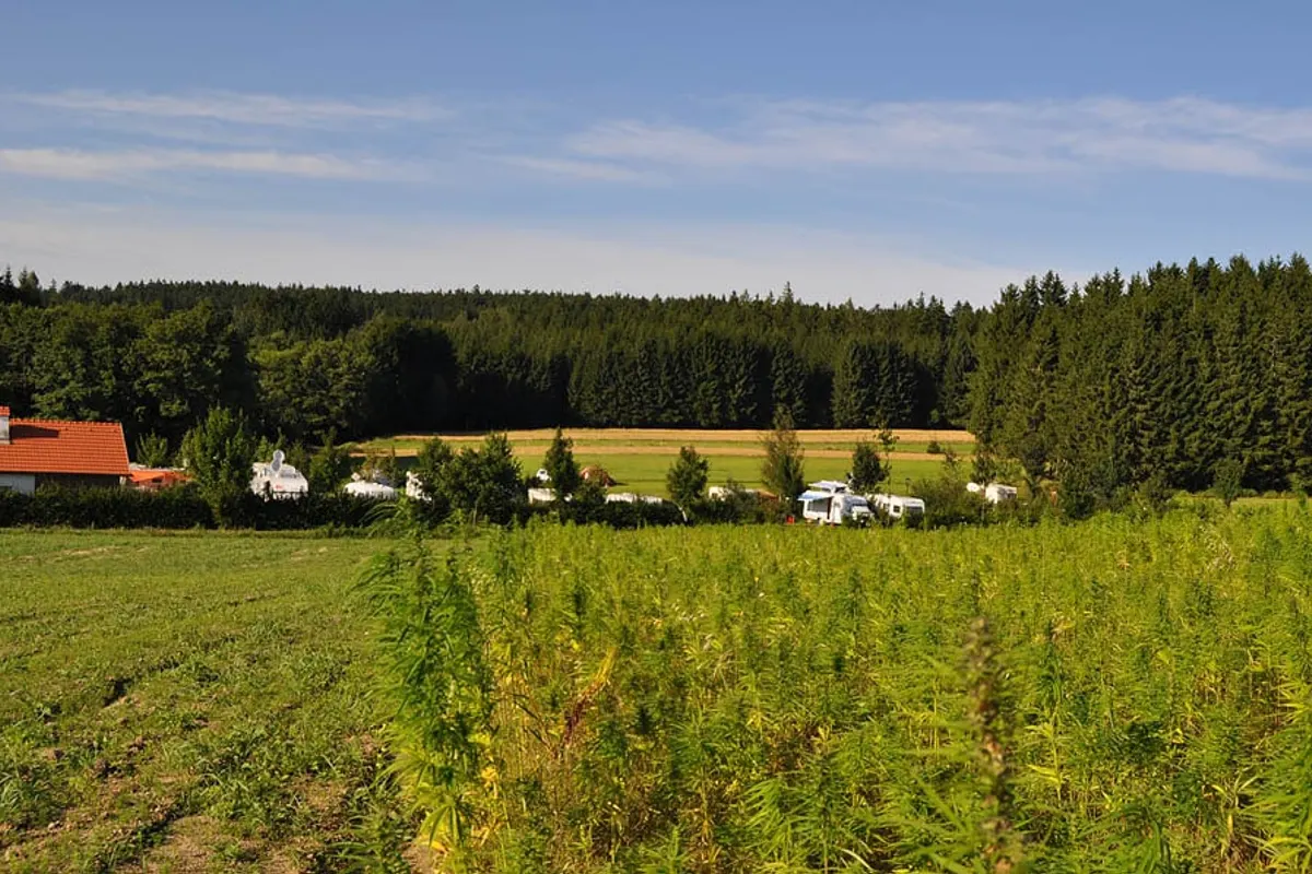 Haarstubencampingplatz Reingers — foto 2