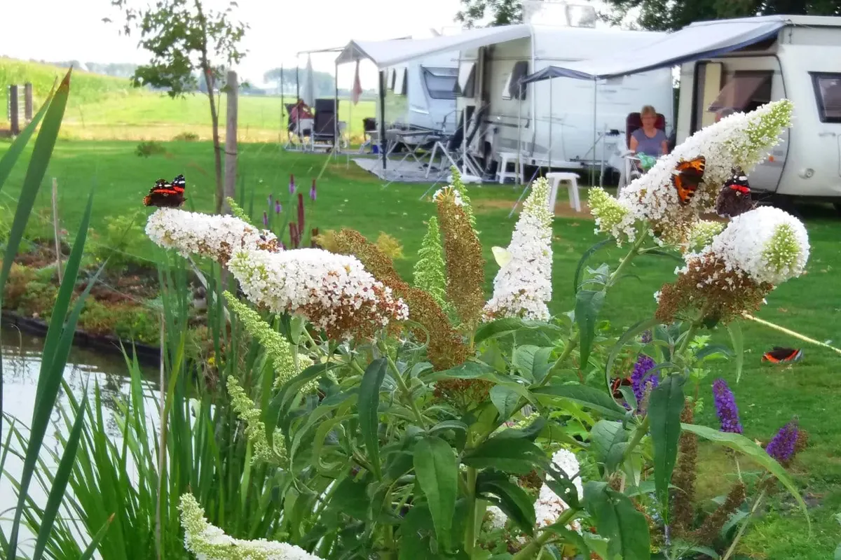 Camping Ter Leede, foto 2