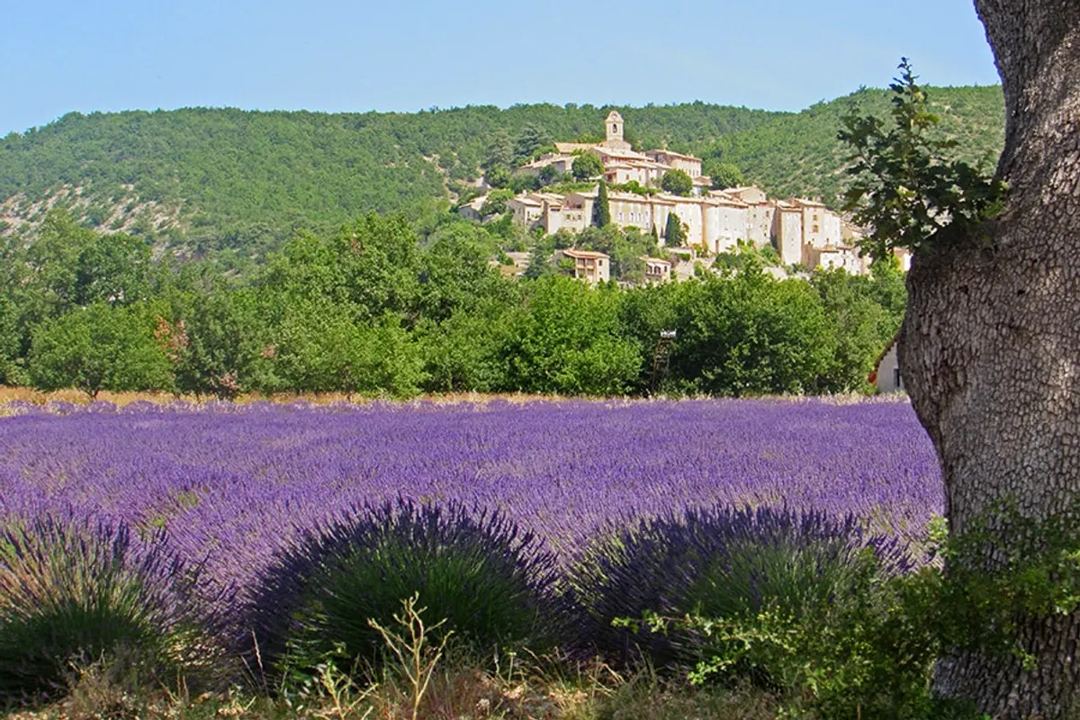 Flower Camping L'Epi Bleu — foto 2