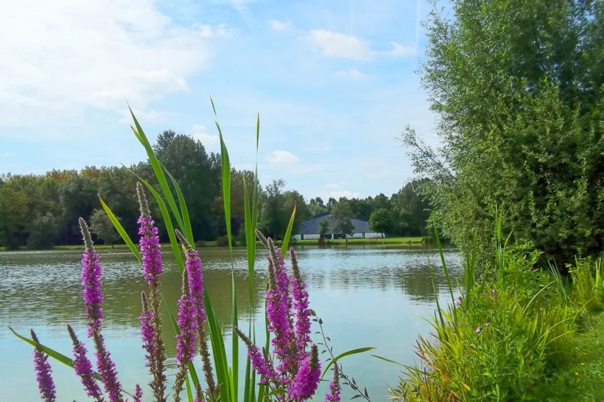 Camping de l'Aigrette, foto 2
