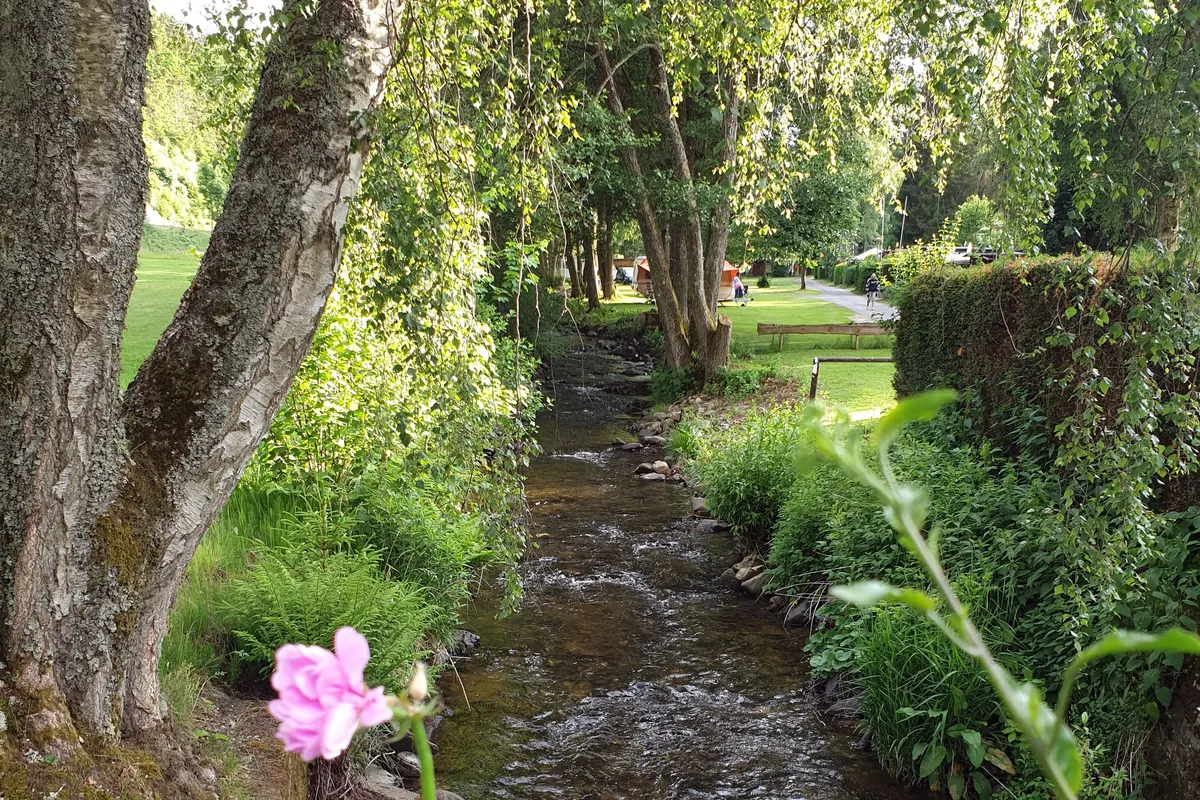 Camping Sensweiler Mühle-Naturlich Camping — foto 2