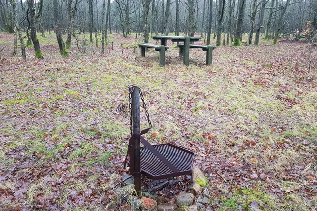 Harrevig Kajaklejrplads