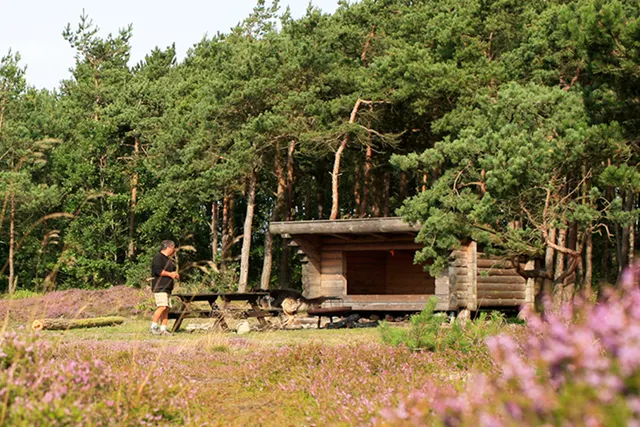 Boeslum Strand