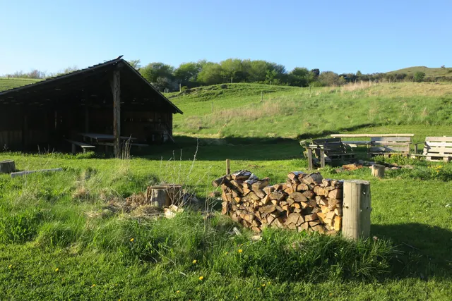 Bjørnen i Bjergene