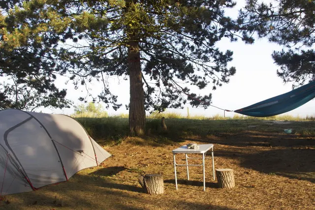 Møn Camping Hårbølle Strand