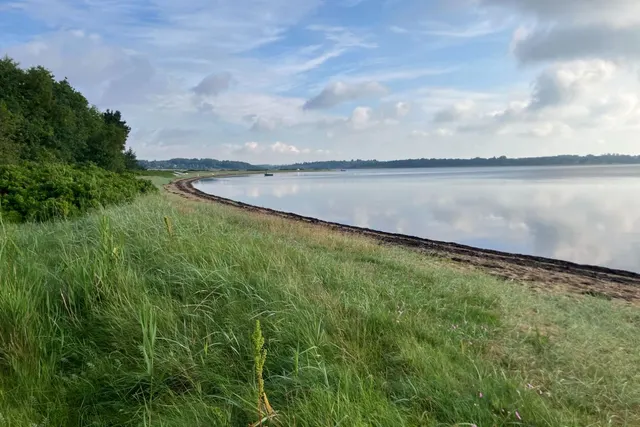 Hjerk Bjerg Shelterplads