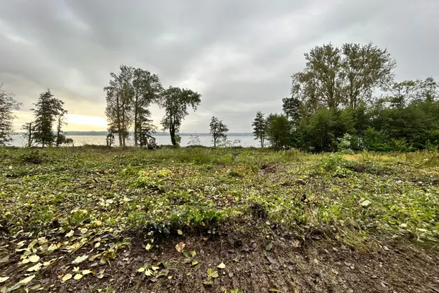 Kollund Skov Teltplads