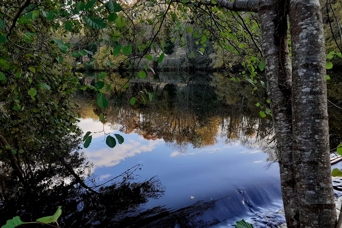 Camping Les Chambons, foto 2