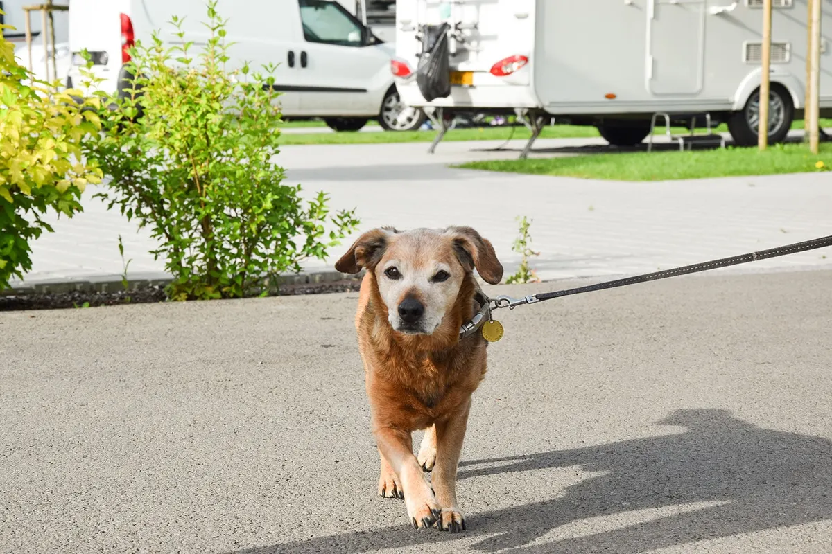Genuss-Camping Bad Gleichenberg, foto 2