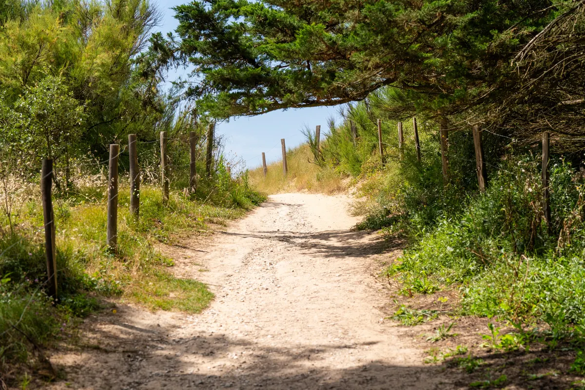 Camping Homair La Côte Sauvage, foto 2