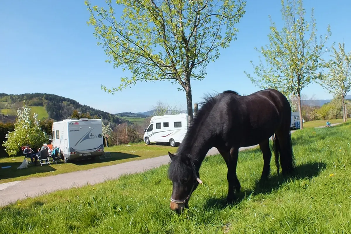 Camping Kirnermartes Hof, foto 2