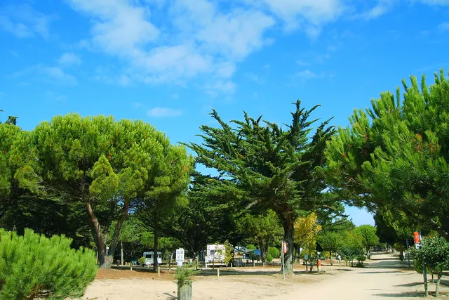 Camping Municipal l'Orgatte