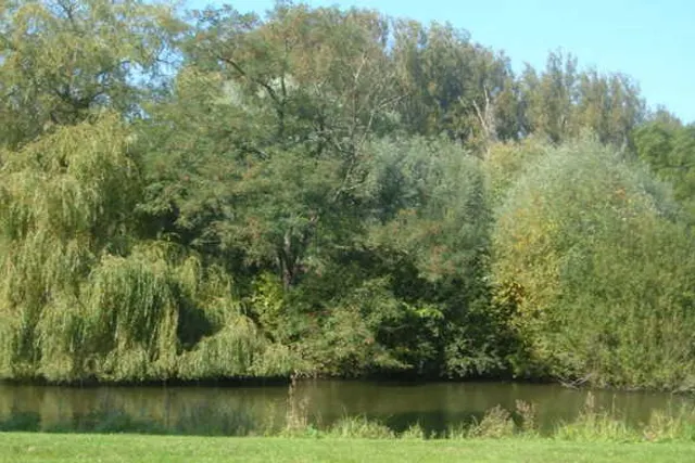 Camping Les Evoïches