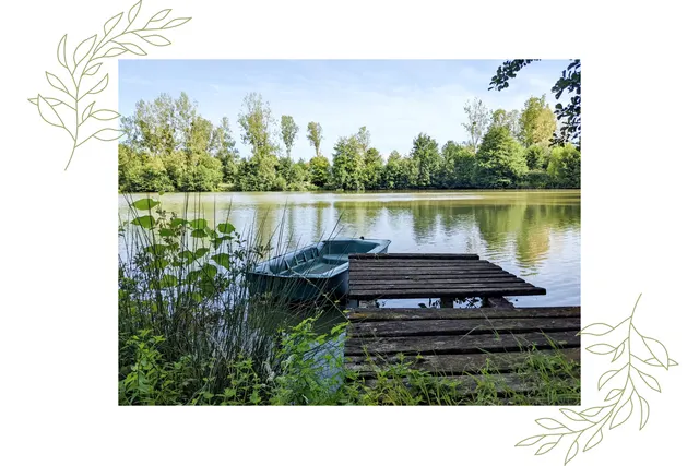 Les Amis de la Forêt