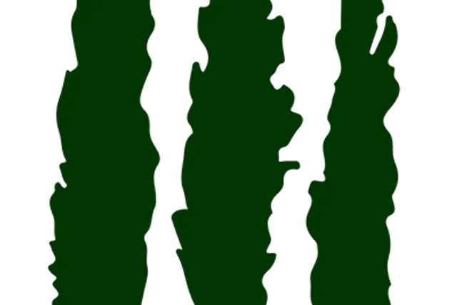 Les Joumiers