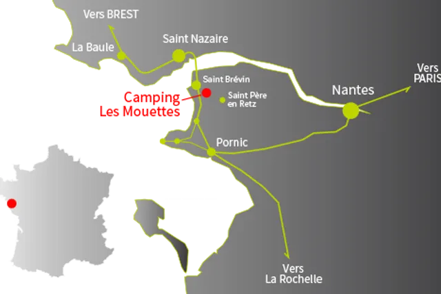 Les Mouettes
