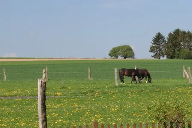 Reitanlage Maashof