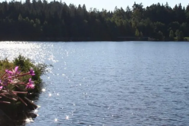 Camping Fichtelsee