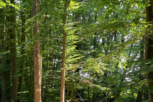 Zimdars CampingResort