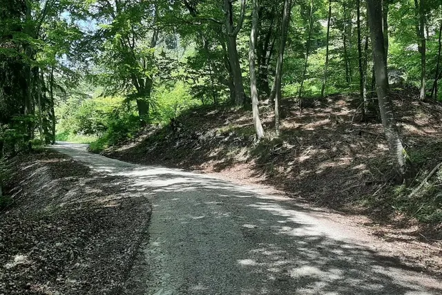 Wohnmobilstellplatz am Badesee Windgfällweiher