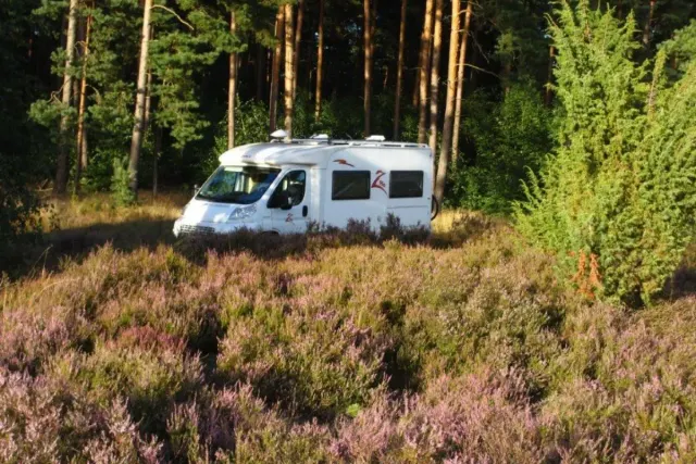 Wohnmobilstellplatz Schwindebecker Heide