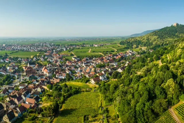 Weingut Möwes Wohnmobilstellplatz