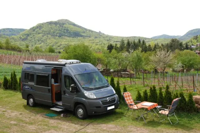 Wohnmobilstellplatz Weingut Hahn-Hof