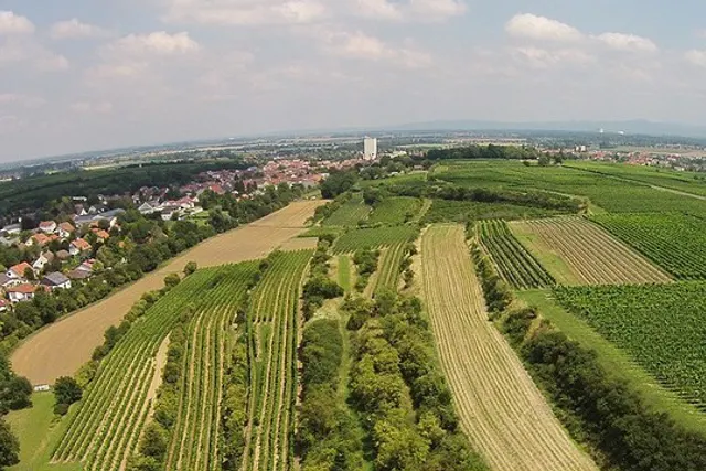 Weingut Borntaler Hof