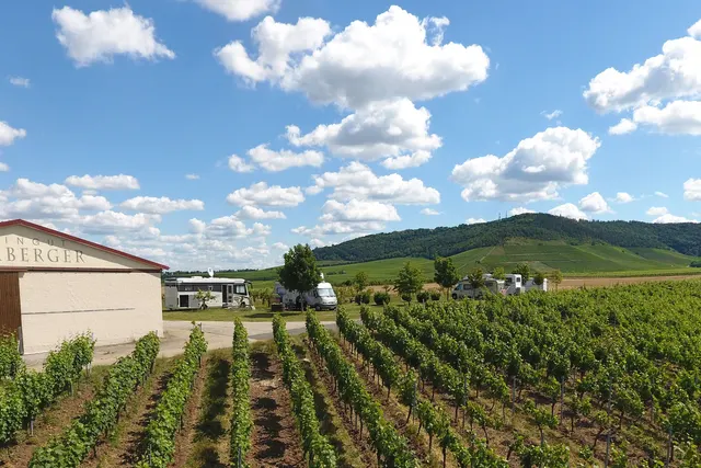 Weingut Hemberger Wohnmobilstellplatz