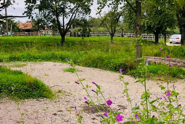 Hofcamping Webers Hofglück