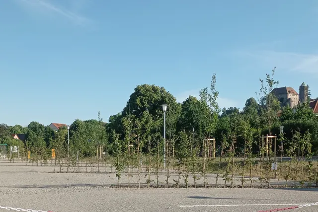 Wohnmobilstellplatz Colmberg