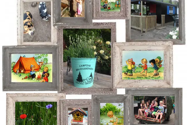 Camping Bruinsbergen