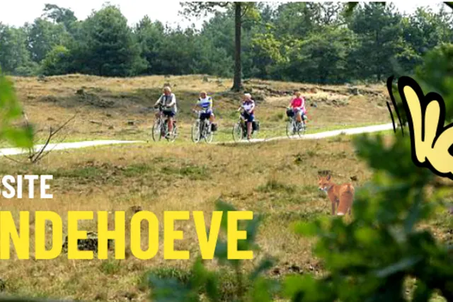 SVR Camping de Lindehoeve