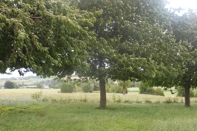 Boerderijcamping Schrouff