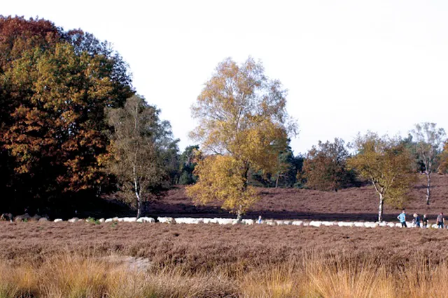 De Kamperklippen