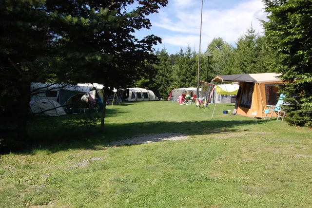Camping In de Bongerd