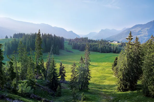 Camping Rischli