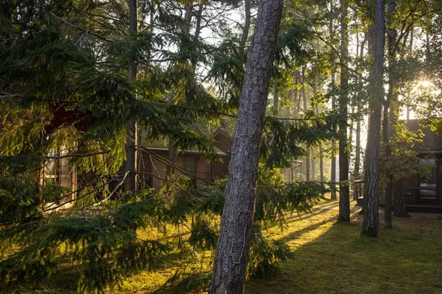 Camping Róża Wiatrów