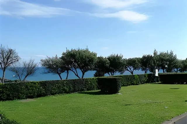 Camping Buenavista