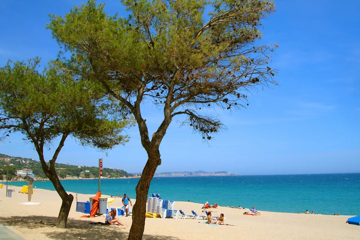 El Delfin Verde Playa d'Aro, foto 3